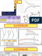 GLUCOGENOLISIS.pdf