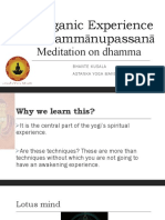 Organic Experience Dhammānupassanā: Meditation On Dhamma