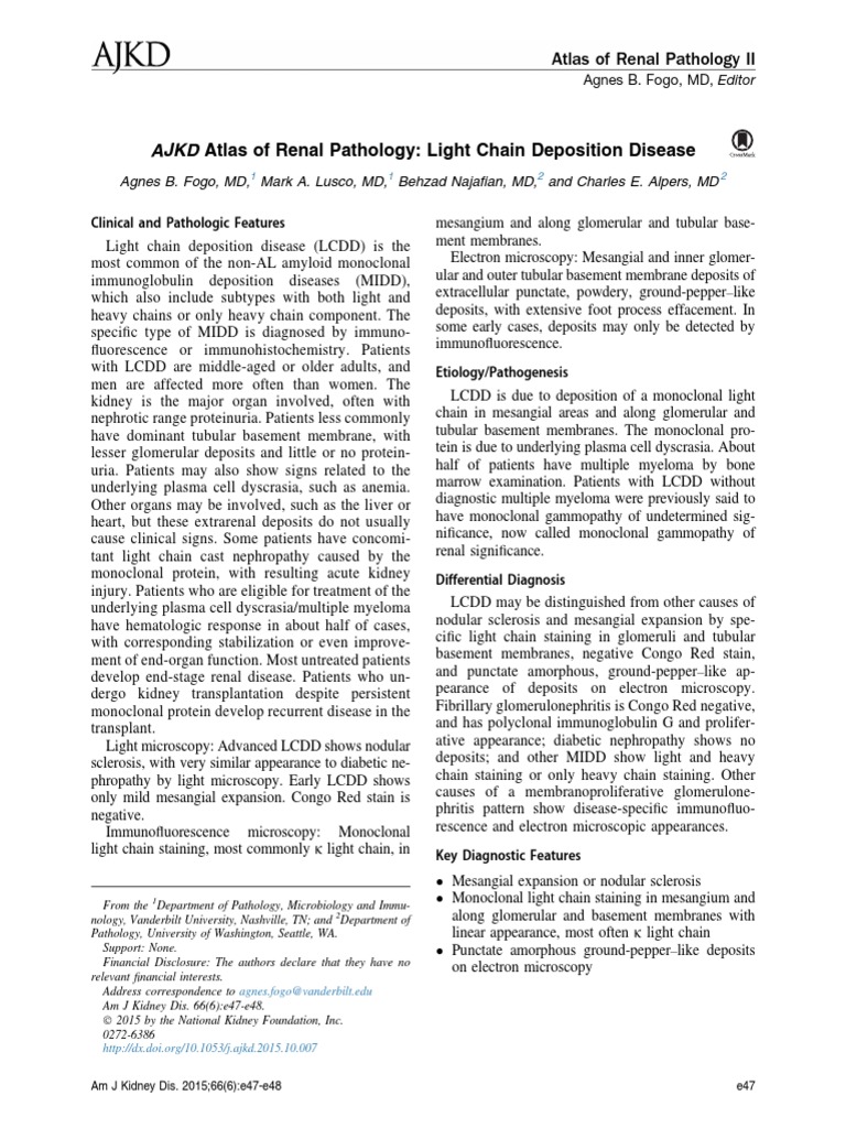 Light Chain Deposition Disease Overview | PDF | Kidney Disease | Kidney