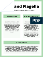 Cilia and Flagella PDF