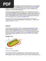 Download Tumbuhan parasit adalah tumbuhan yang untuk kelangsungan hidupnya menggantungkan sebagian atau seluruh sumber energinya pada tumbuhan lain by Irma Sweet SN48845771 doc pdf