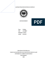 Download Lap Fiswan 7-Hormon by Natalina SN48846919 doc pdf