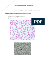 Pathologic Red Cells in Blood Smears