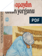 Talip Apaydın - Tütün Yorgunu PDF