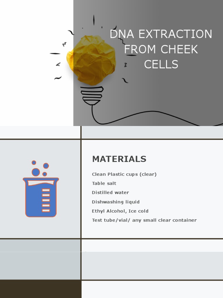 Cheek Cell DNA Extraction Procedure | PDF | Ethanol | Chemical Substances