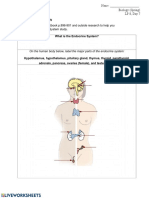 Endocrine System: Directions: Use Your Textbook p.896-901 and Outside Research To Help You