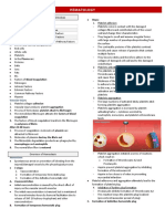 Hematology: Components of The Blood Flow