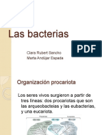 bacteriasclaraymarta-140302125843-phpapp02 (1)