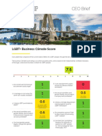 OL-CEO-Brief_Brazil.pdf