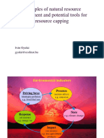 Ivan Gyulai Natural Resource Use Management PDF