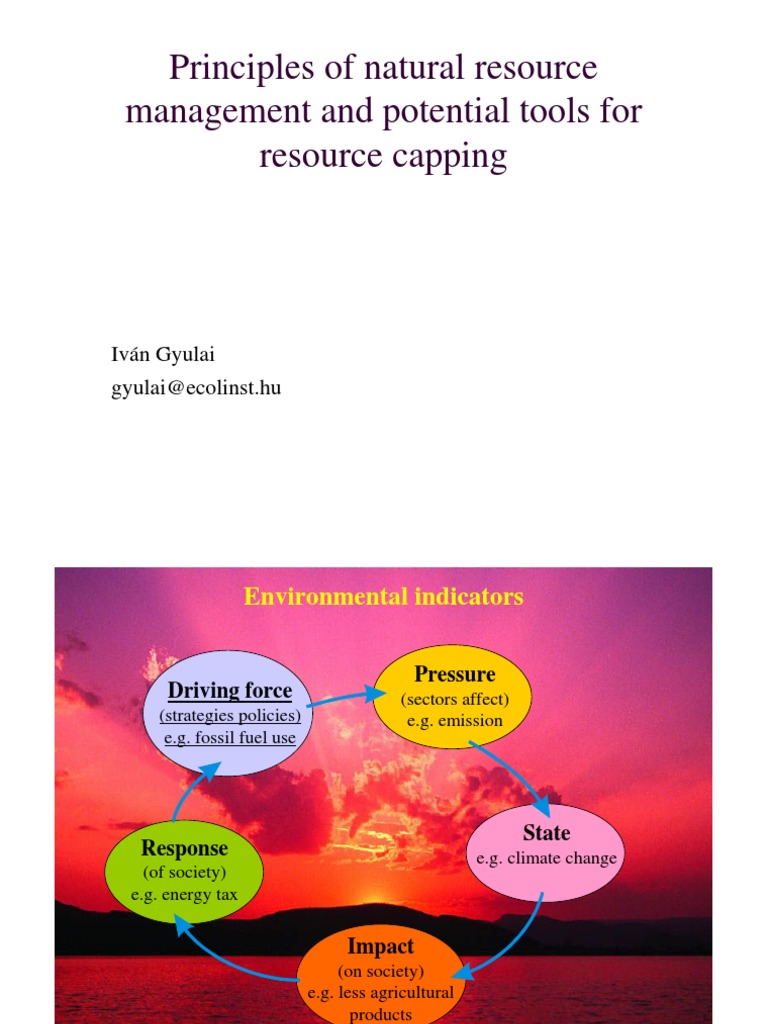 Natural Resource Management Principles | PDF | Resource | Sustainability