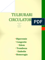 LP 04 Tulburari Circulatorii