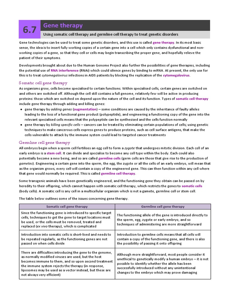 Gene Therapy Using Somatic Cell Therapy And Germline Cell Therapy To