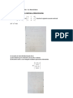 Ejercicios de Matrices y Determinantes Resueltos