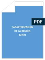 PERFIL-JUNÍN.pdf