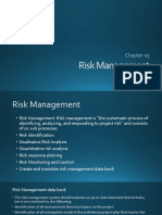 Risk Management and Porject Teams