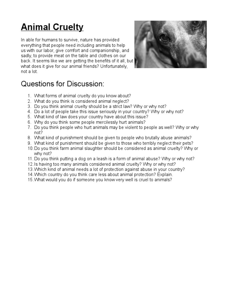 Animal Cruelty Questions For Discussion PDF