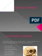 Clase 5 Cavidades Comunes PDF