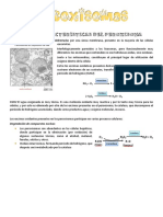 Peroxisomas PDF