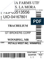 Trachelium: GT Brokers Corp