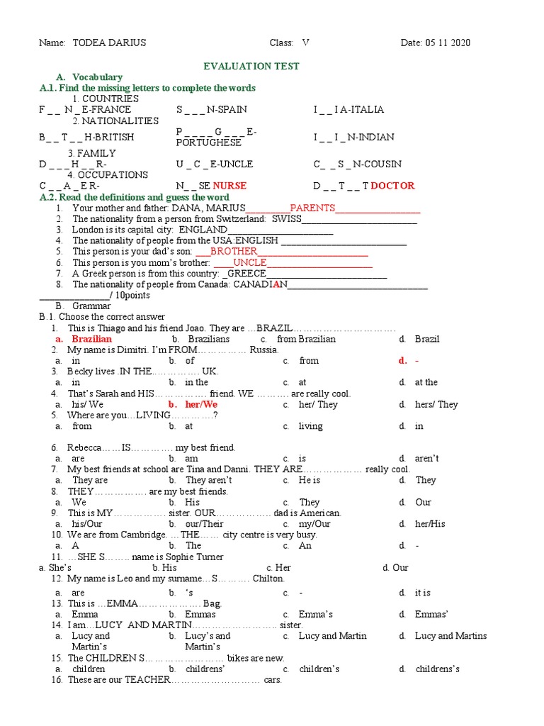 Vocabulary and Grammar Evaluation Test | PDF