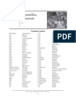 Camellia Sinensis: Common Names