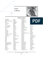 Cocos Nucifera: Common Names