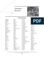 fulltext_25.pdf