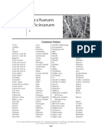 Saccharum Officinarum: Common Names