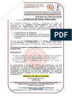 _ACTUALIZACION DE SELLO  CIP.pdf