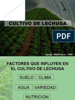 LECHUGA