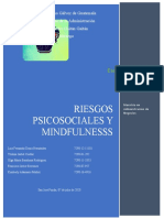 RIESGOS PSICOSOCIALES Y  MINDFULNESS (LIDERAZGO)