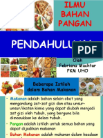 Ibp Pendahuluan PDF