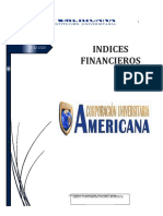 Indices Financieros...docx