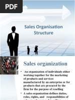 Sales Organisation Structure