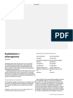 Endothelium I: Atherogenesis: Maintenance of Vascular Homeostasis