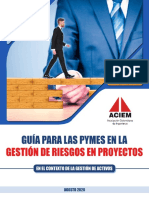 ACIEM Guia Gestion de Riesgos para Pymes PDF