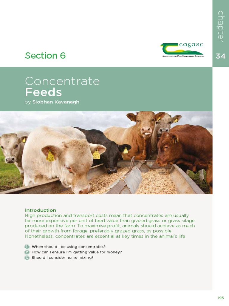 Concentrate Feeds for Cattle Management | PDF | Cattle | Dietary Fiber
