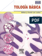 Histopatologia Basica Wheater PDF