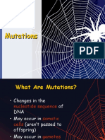 Types of Mutations - Pps