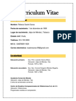 Curriculum Vitae