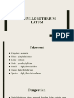 Diphyllobothrium Latum-1