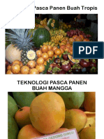 Penanganan Pasca Panen Buah