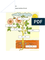 KSSR Dunia Sains Teknologi (Pokok Worksheet-Penilaian)