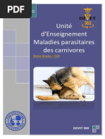 S7 Bacteriologie Medicale Et Antimicrobiens Partie 1 Dzvet360 Cours Veterinaires Staphylococcus Escherichia Coli