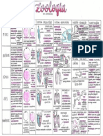 Zoologia dos Vertebrados Tabela Zoologia Biologia Resumos