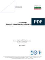 LINEAMIENTO MODELO FLEXIBLE BCA_28_03_2017 (2).pdf