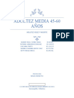 Adultez Media 45