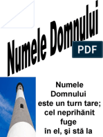 Numele Domnului