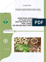 Stratégie PFNL PDF